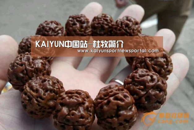 KAIYUN中国站-杜牧简介(图2) 开云体育入口