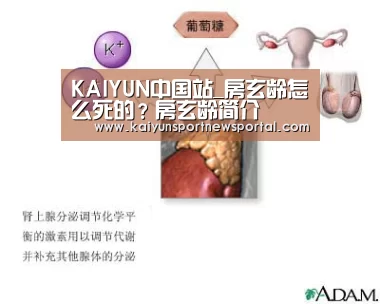 KAIYUN中国站_房玄龄怎么死的?房玄龄简介(图3) KAIYUN中国站