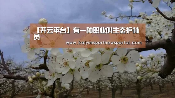 【开云平台】有一种职业叫生态护林员(图2) 开云平台