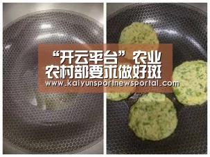 “开云平台”农业农村部要求做好斑海豹幼崽救护工作(图1) 开云体育数据中心