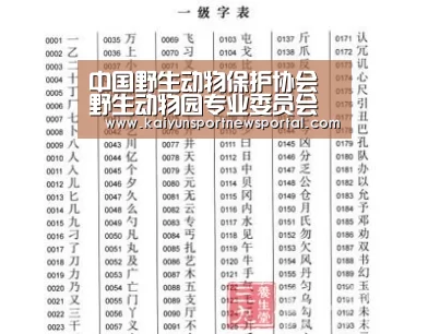 开云平台