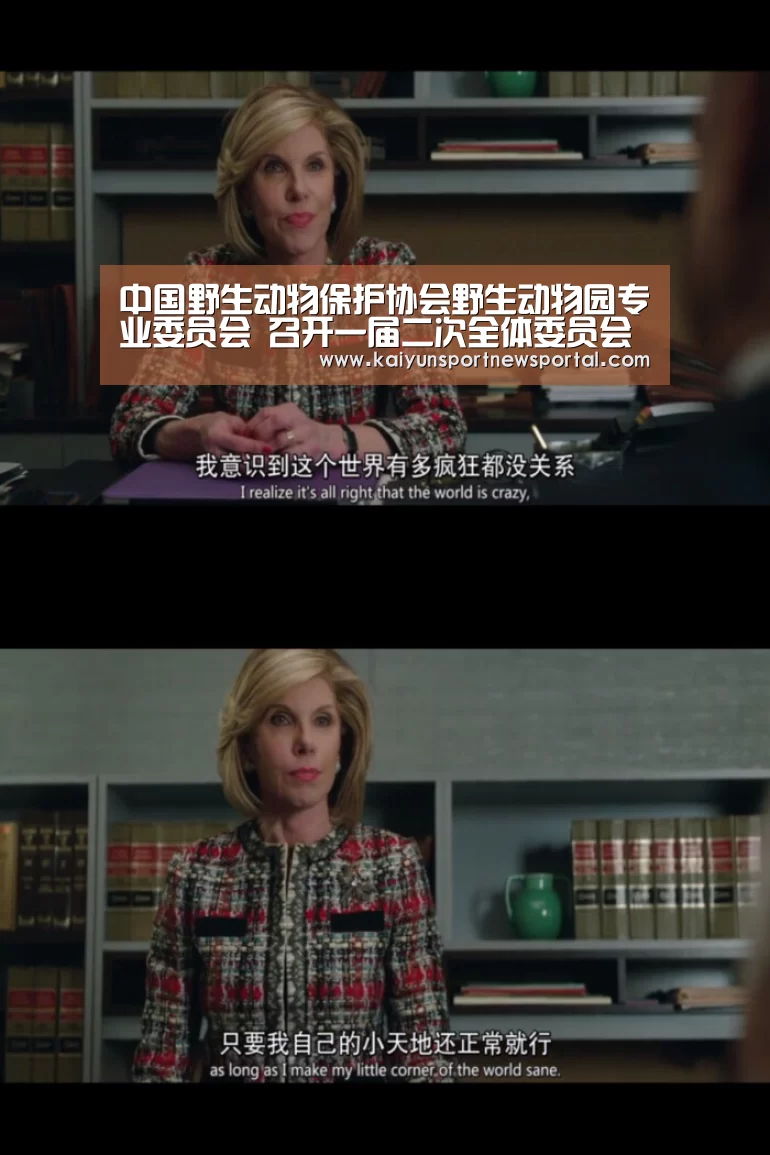 开云体育入口